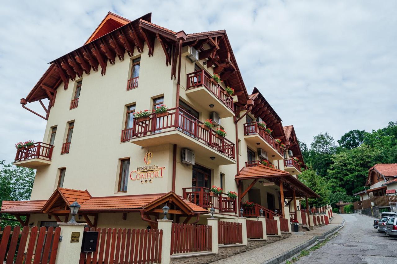 Pensiunea Comfort Совата Екстер'єр фото