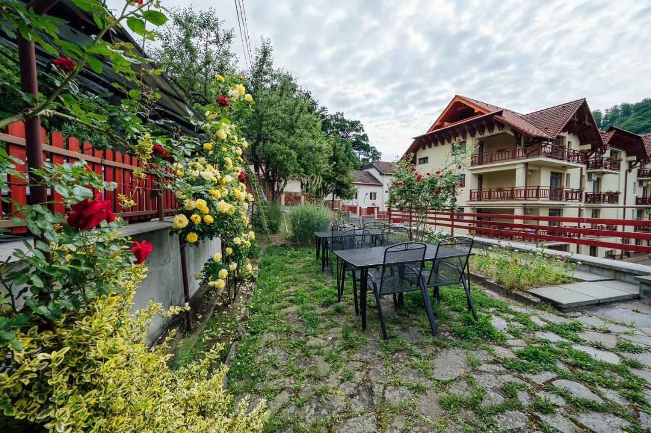 Pensiunea Comfort Совата Екстер'єр фото