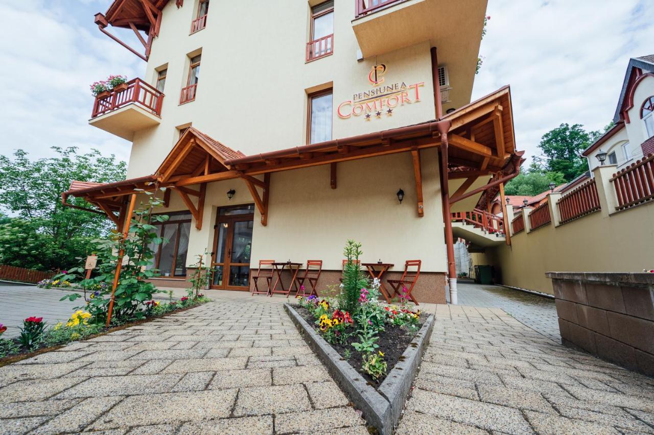 Pensiunea Comfort Совата Екстер'єр фото